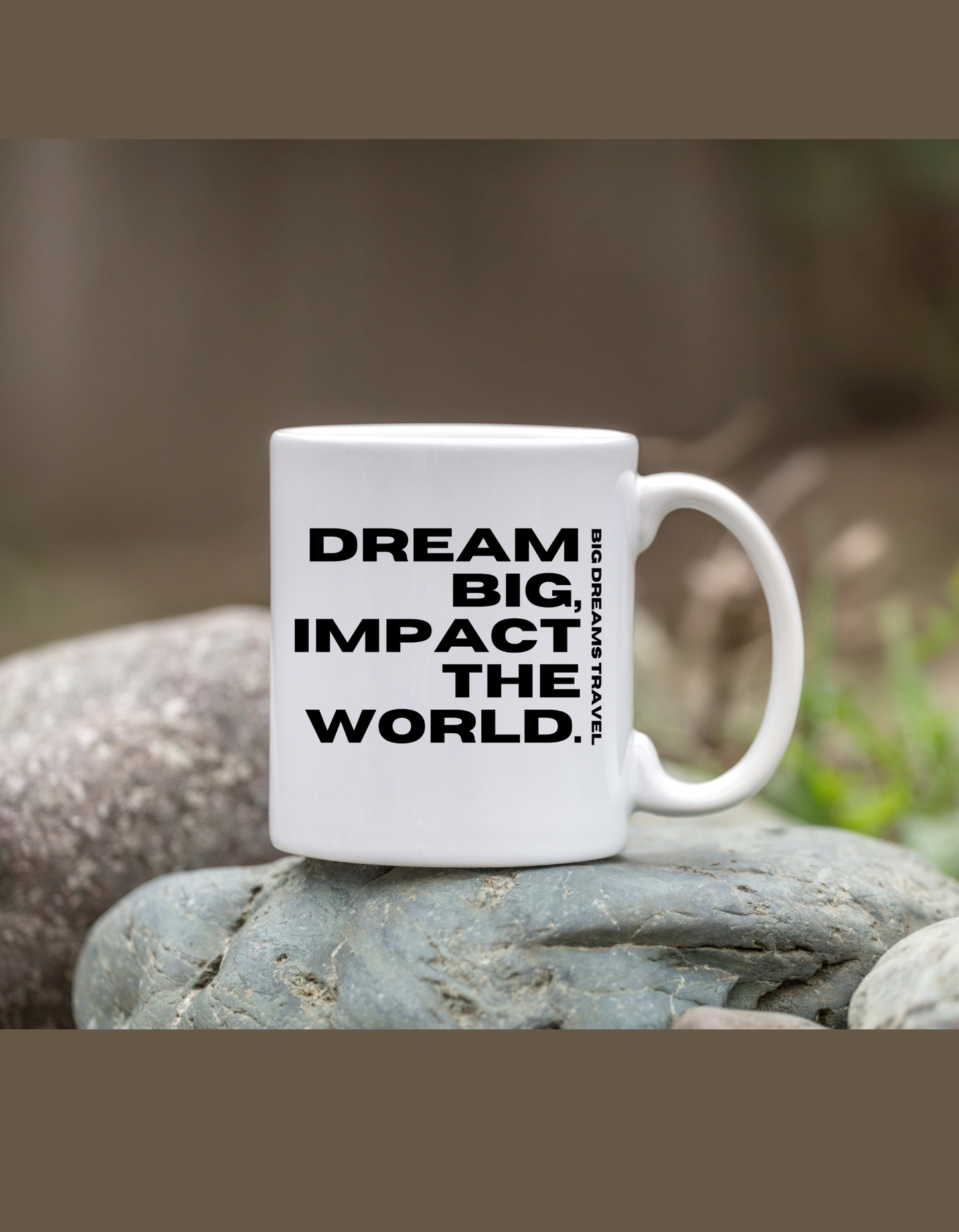 Dream Big Impact The World Mug